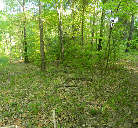 Nature Lovers Paradise