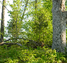 Nature Lovers Paradise