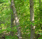 Nature Lovers Paradise