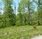 Beautiful Wooded Homesites with Recreational