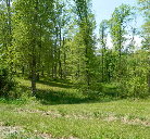 Beautiful Wooded Homesites with Recreational