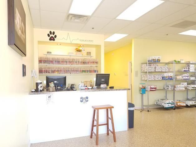 The reception area of a veterinary clinic with a front desk, a wooden stool, and shelves stocked with pet supplies.