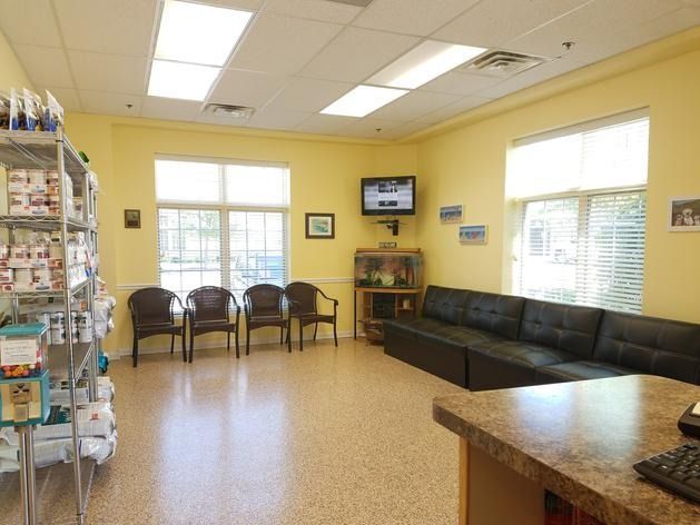 A brightly lit yellow waiting room with a shelf of supplies, dark chairs, a TV, and a long black sofa near a reception desk.