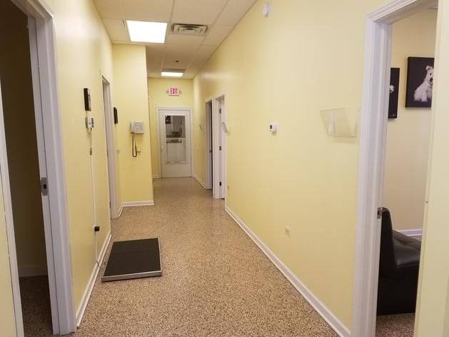 A hallway with light yellow walls and speckled flooring, leading to multiple doorways and an exit sign.