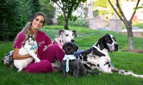 Dr. Angela Riffice - DVM, CVA, CVFT, cAVCA