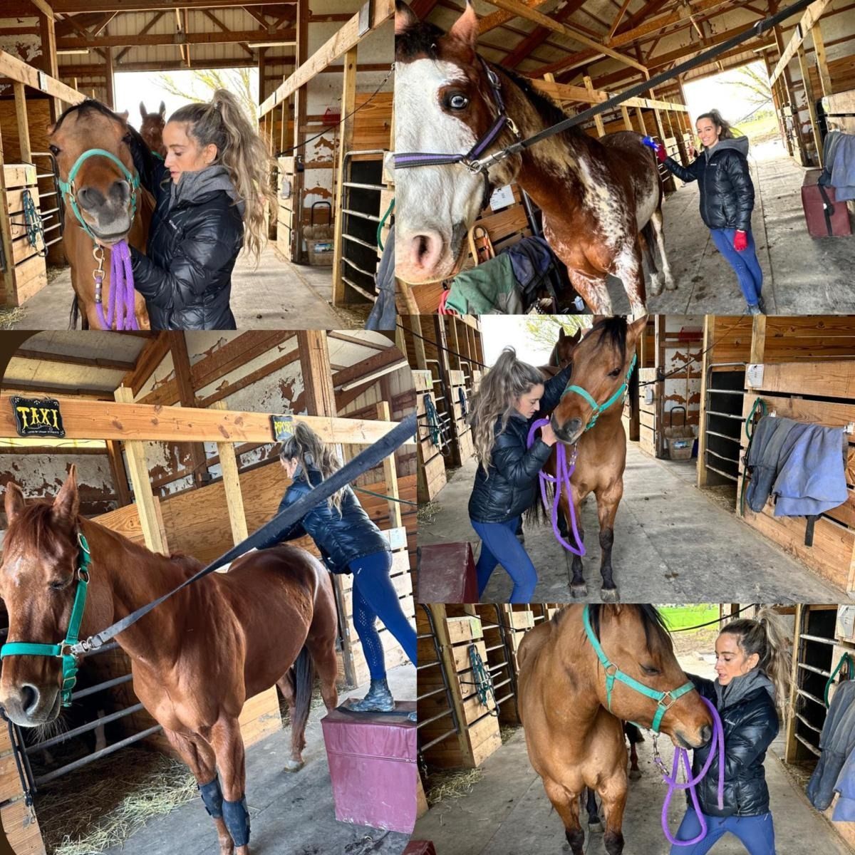 A collage showing people interacting with horses inside a stable, including leading them and preparing them for riding.