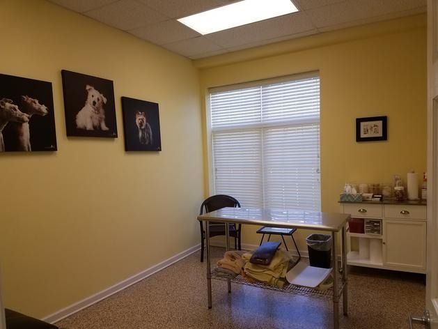 A bright yellow examination room with three dog portraits on the wall, a metal table, and a small white cabinet.