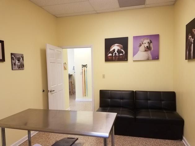 A vet exam room with yellow walls, a metal table, a black sofa, and pet photos on the wall.