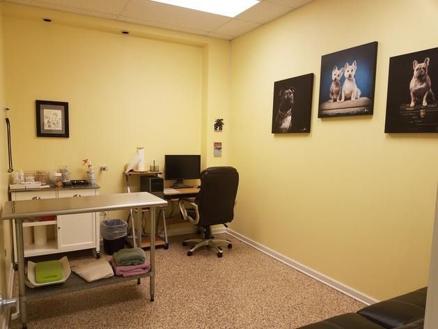 A brightly lit vet office with a stainless steel exam table, a desk with a computer, and dog portraits on yellow walls.