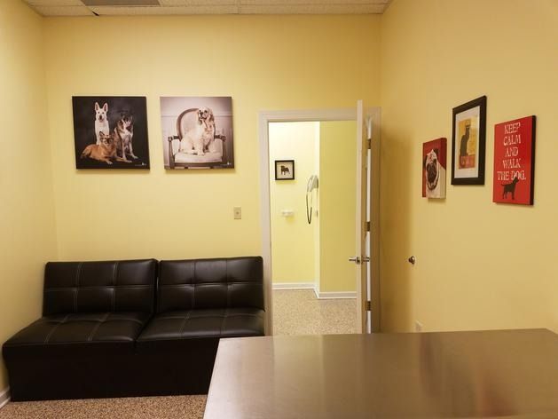 A waiting room with yellow walls, a black leather sofa, dog-themed wall art, and an open doorway to another room.