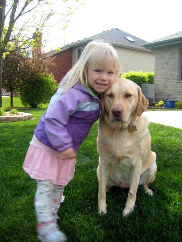 A young girl with blonde hair leans her head against a yellow Labrador Retriever in a grassy backyard.