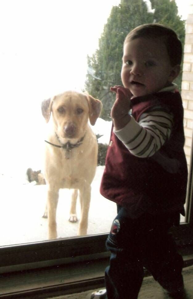 A person waves at a yellow dog standing outside a glass door in the snow.