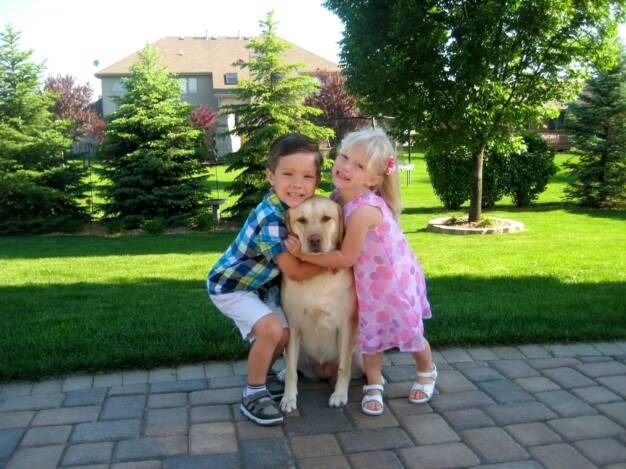 A child and a young girl smiling and hugging a light-colored dog on a patio in a grassy, tree-filled backyard.