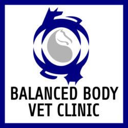 Logo for Balanced Body Vet Clinic featuring a dark blue stylized animal circle icon above the text in a white square.