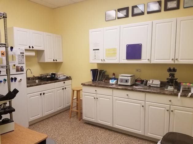 A laboratory room with yellow walls, white cabinetry, dark countertops, a sink, and various medical testing equipment.