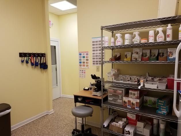 A sterile veterinary lab area with a shelf of medical supplies, a microscope on a desk, and leashes hanging on a yellow wall.