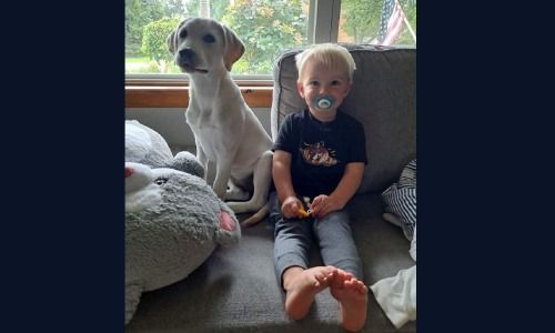 A light-colored puppy sits next to a toddler with a pacifier on a grey couch in front of a window.