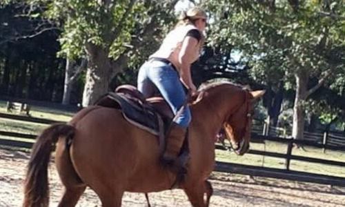 A person in a light shirt and jeans riding a brown horse in an outdoor paddock surrounded by trees.