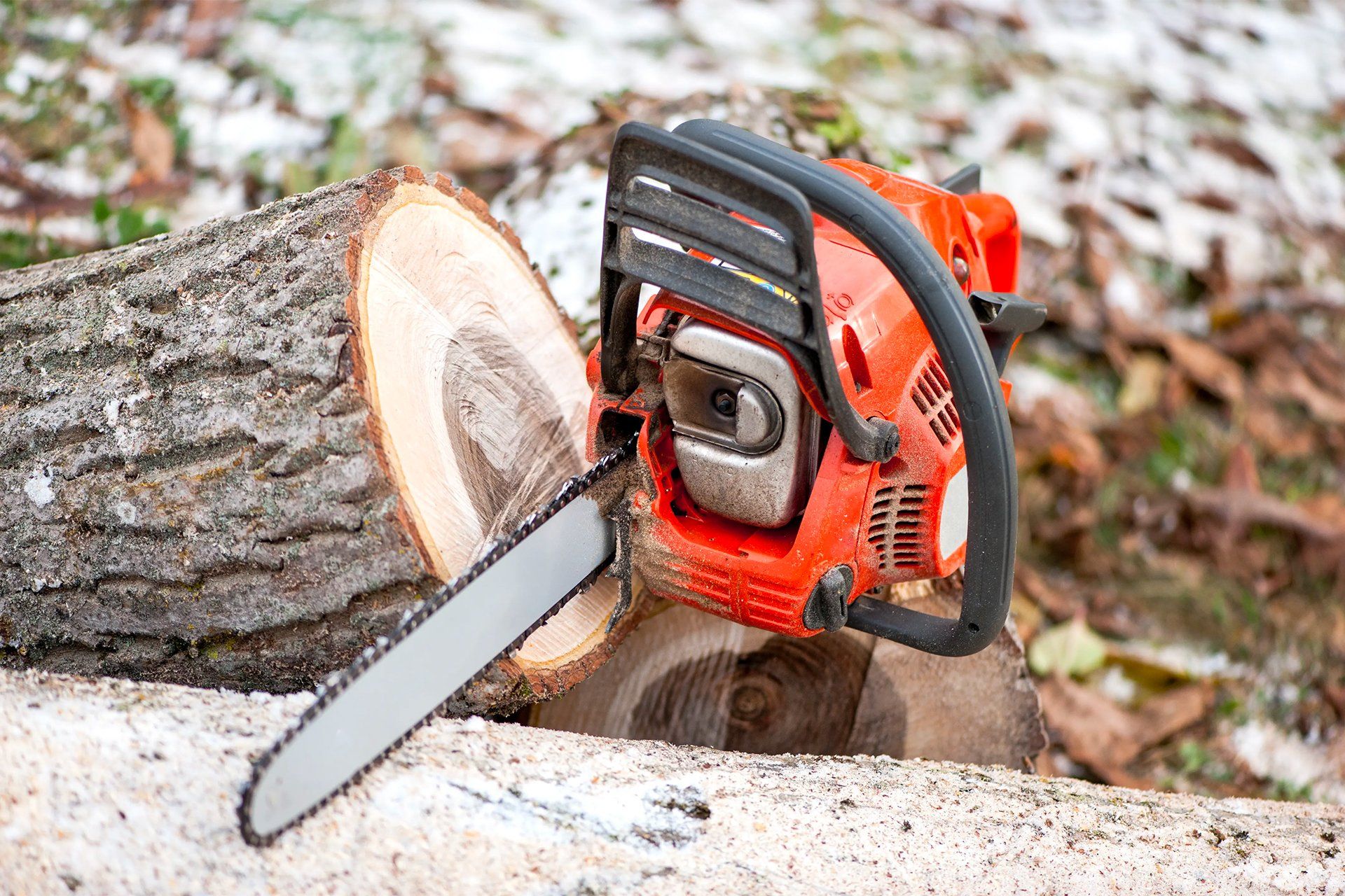 Tree removal services