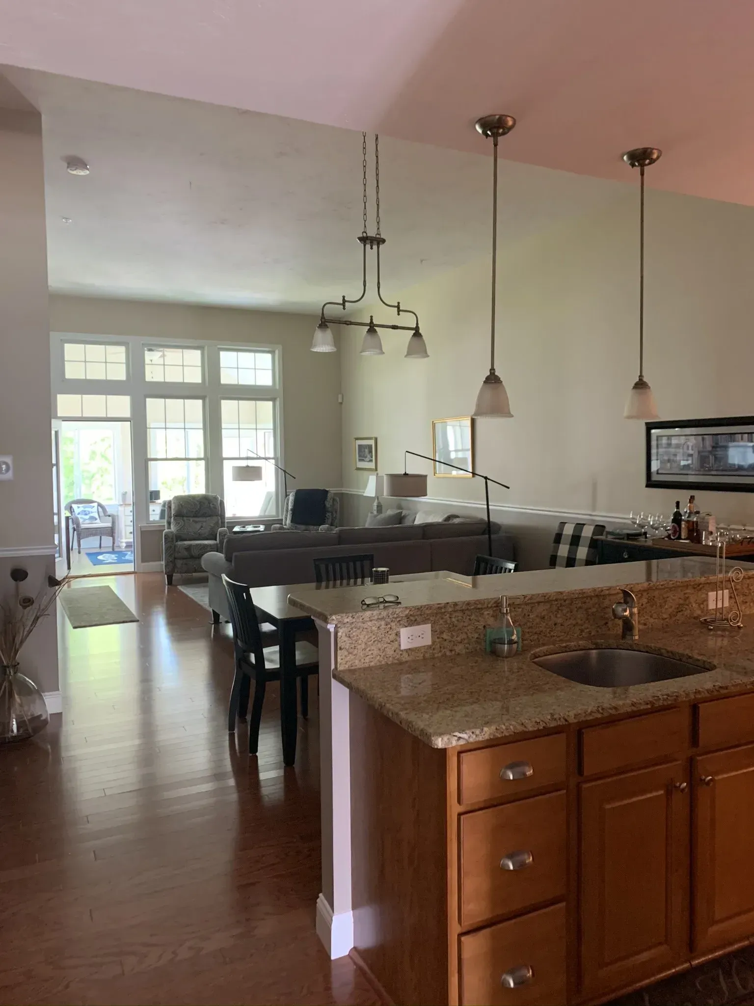 Open-concept kitchen and living room with island, dark wood floors, and large windows.