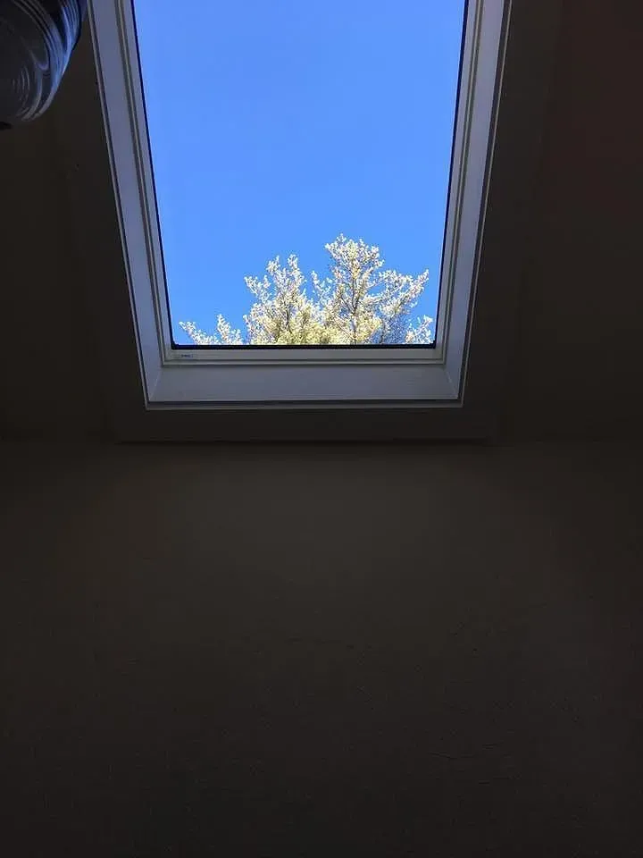 Skylight view of blue sky and tree branches from inside a room with beige walls.