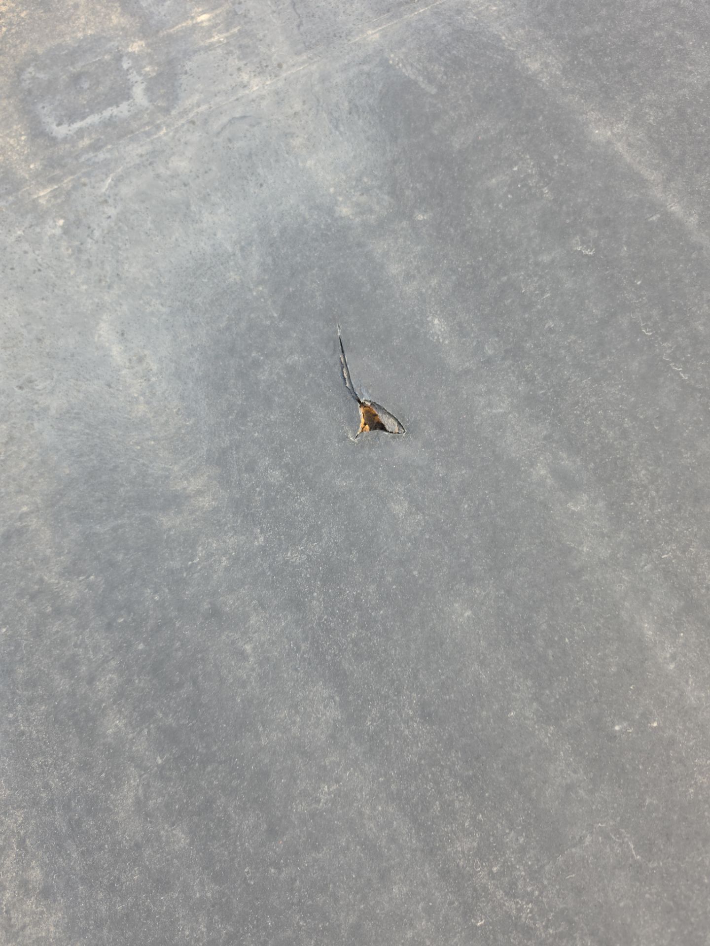 A small, striped tail of a lizard sticks out of a tiny hole in grey, paved asphalt ground.