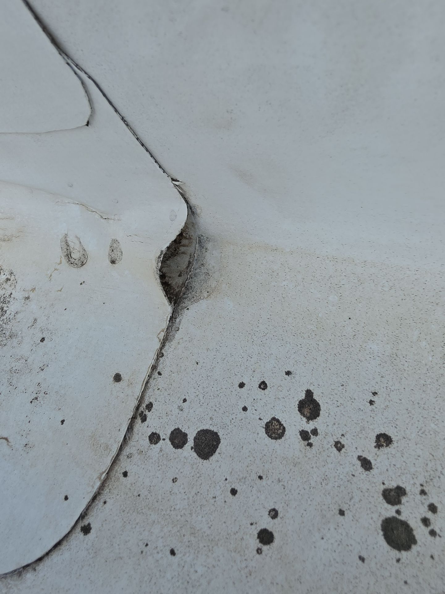 A close-up of a damaged, dirty white rubber roof membrane with a lifted seam and dark spots of debris.