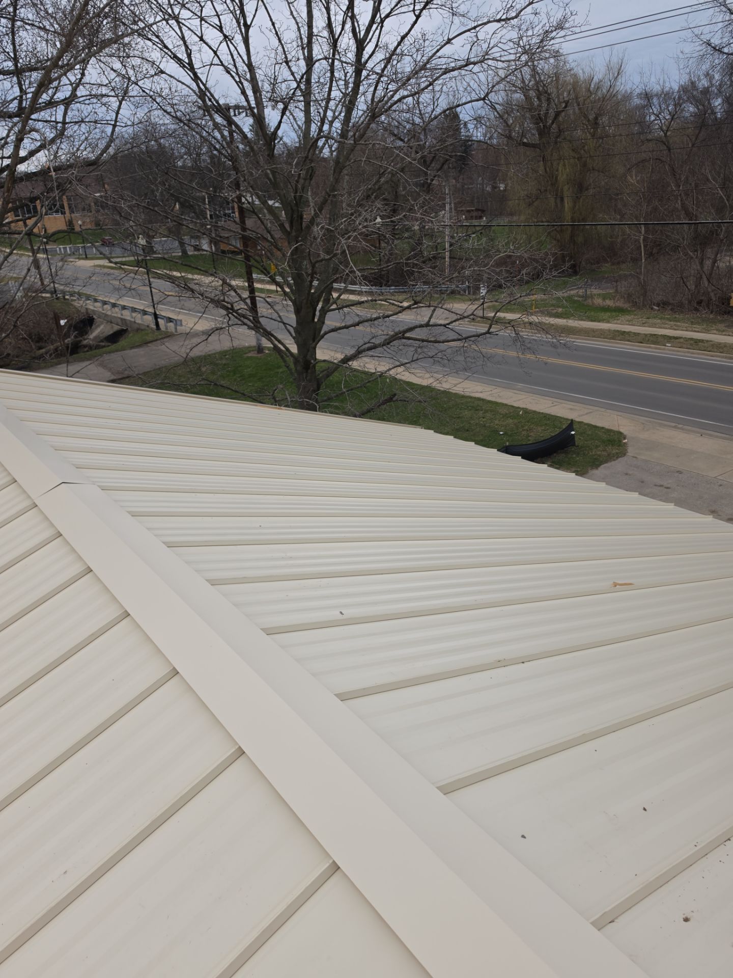 A high-angle view of a beige metal roof sloping down toward a street with a leafless tree and sidewalk below.