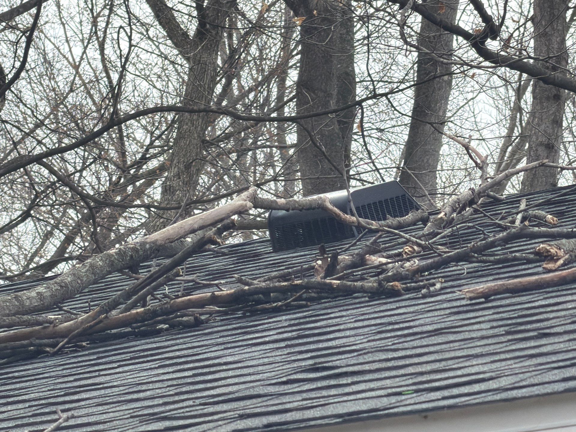 Tree branches resting on a house roof next to a black rectangular vent.