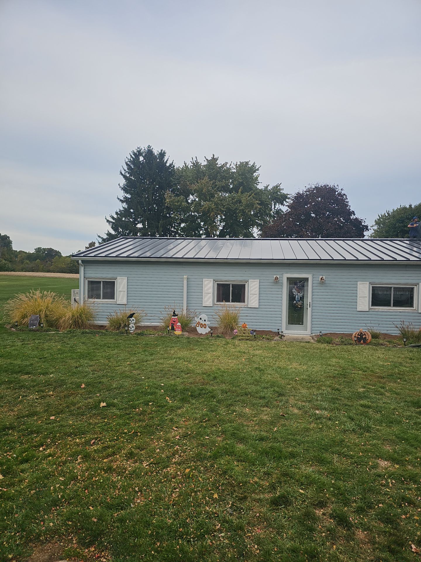 A pale blue single-story house with a metal roof and white shutters, situated in a green grassy field under a cloudy sky.