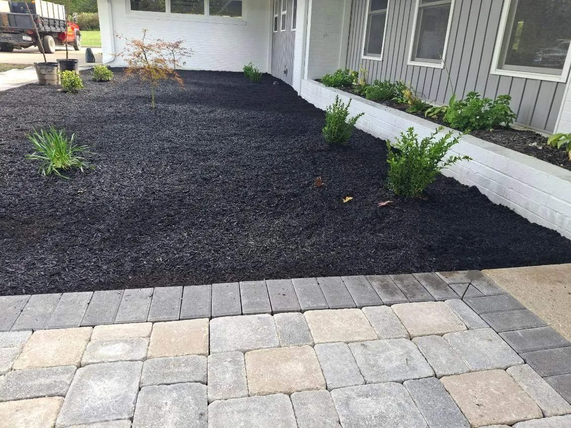 Dark mulch covers a front yard bed with small green shrubs. A stone path lines the edge.