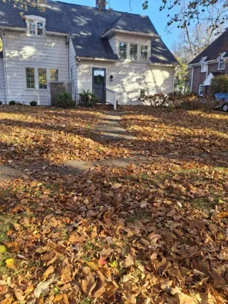 A house with a yard covered in fallen brown leaves. Path to the front door is visible.