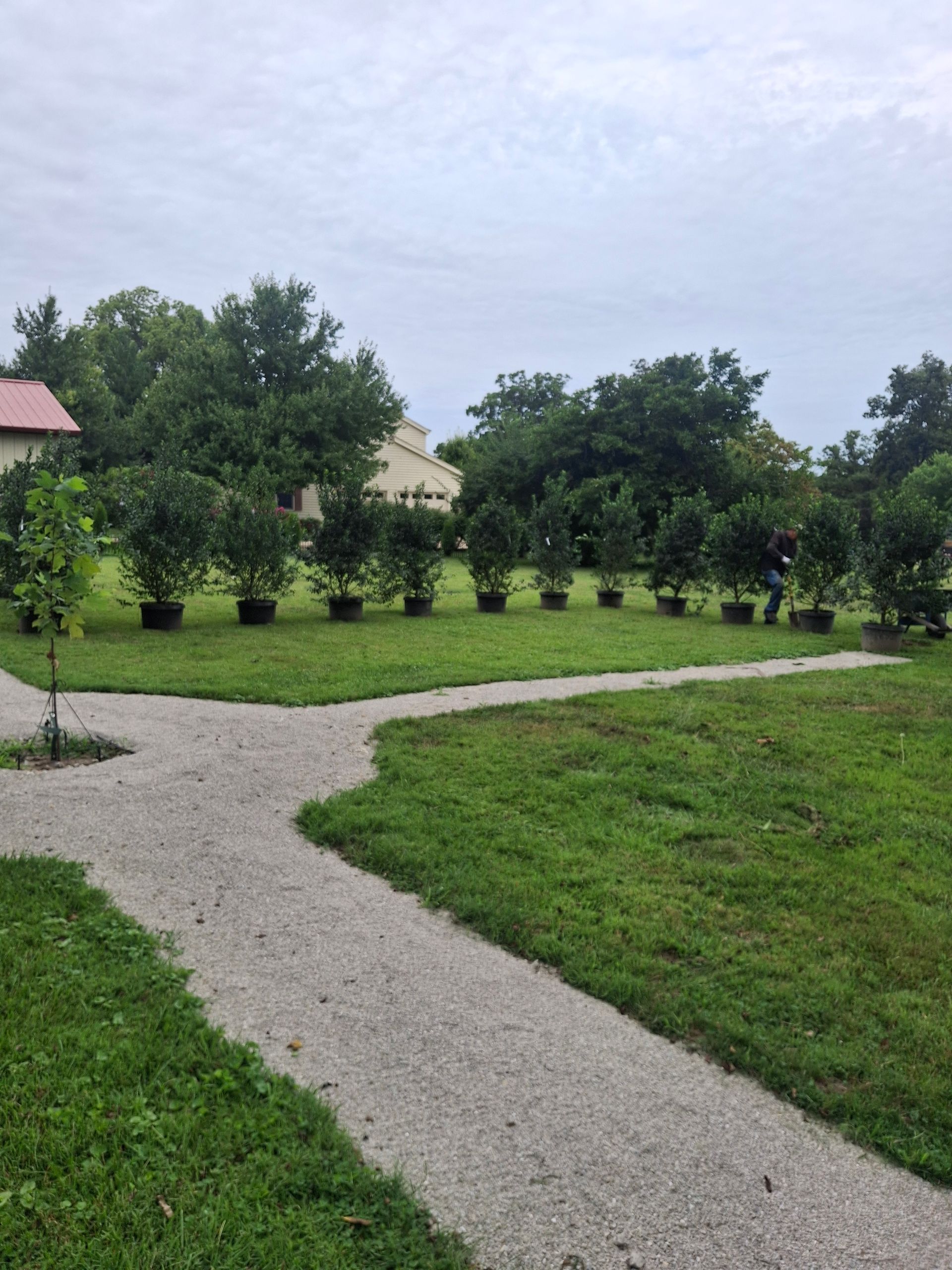 Gravel paths lead through a grassy area with trees in pots. A cloudy sky is overhead.