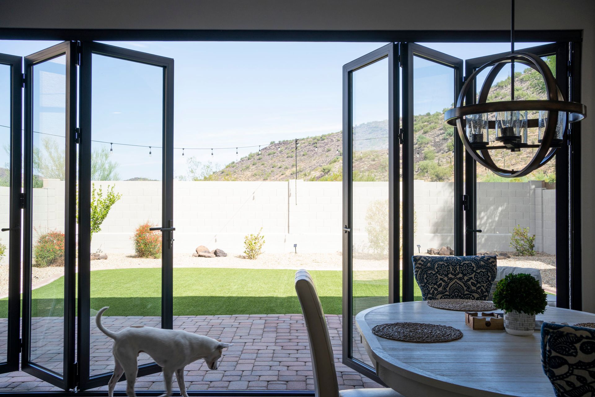 A dog looks out toward a backyard through folding glass doors. A table and light fixture are visible.