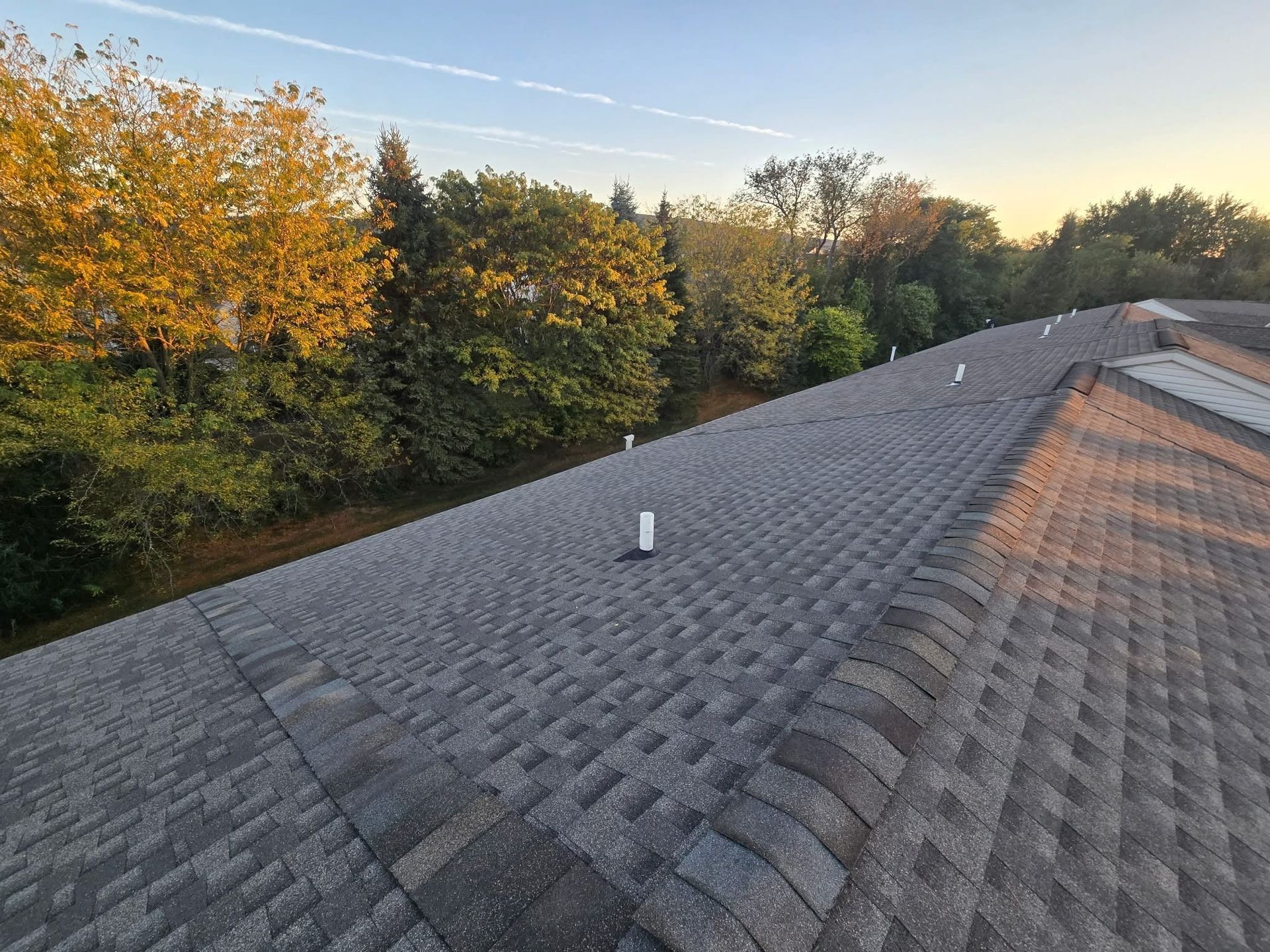 Asphalt shingle roof with vents, trees in the background, blue sky.