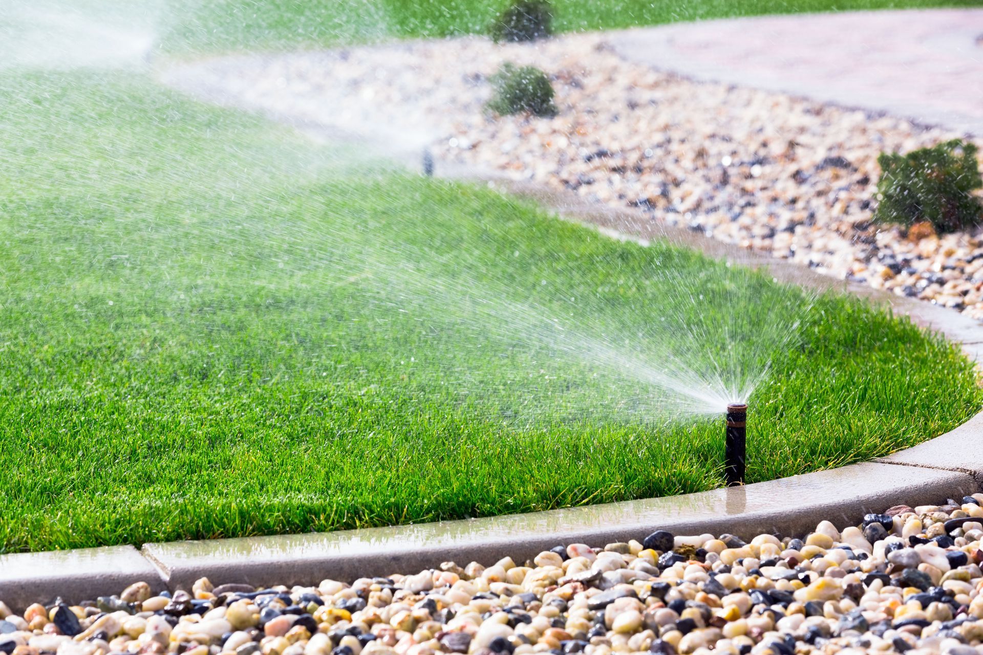 Sprinklers watering a green lawn beside a gravel border