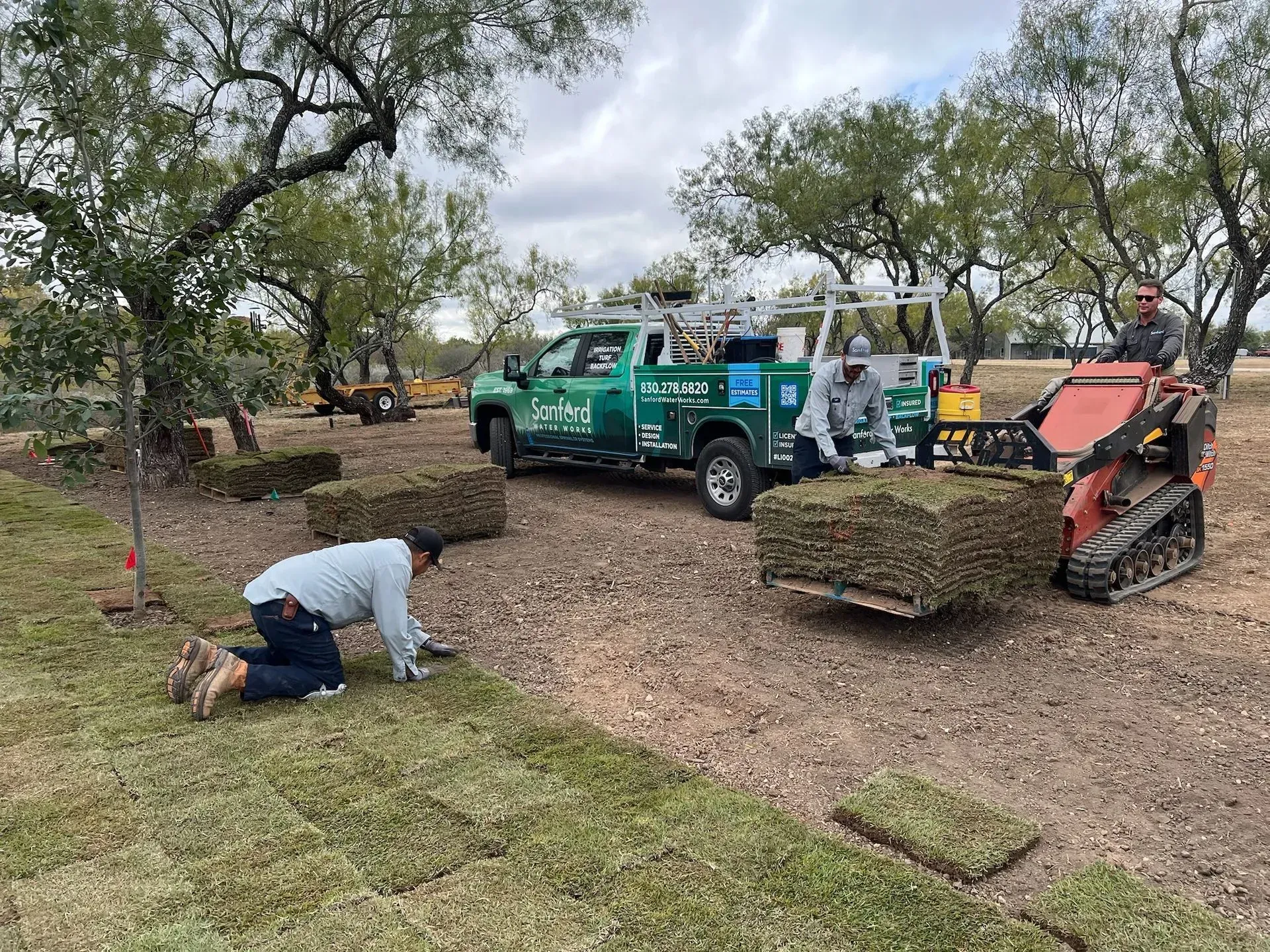 Workers laying sod in a yard; truck and mini-excavator present; overcast sky.