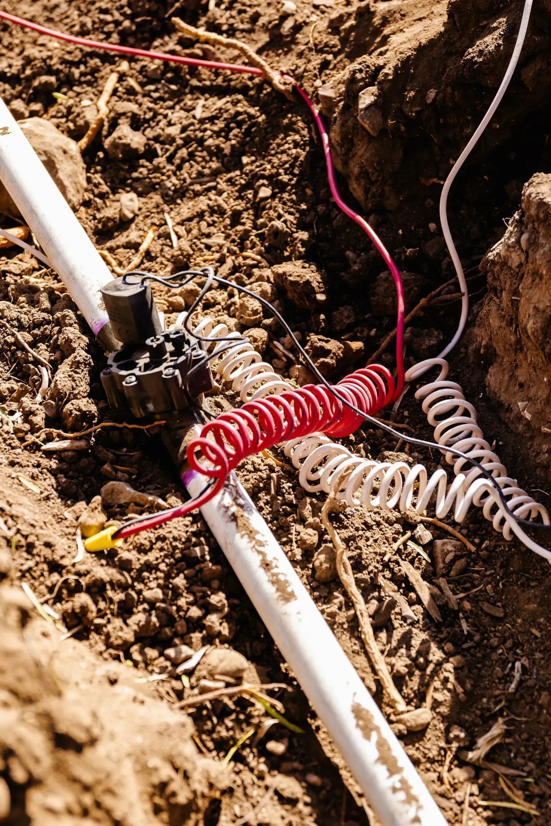 White PVC pipe and sprinkler valve with red and white coiled wires in a dirt trench.