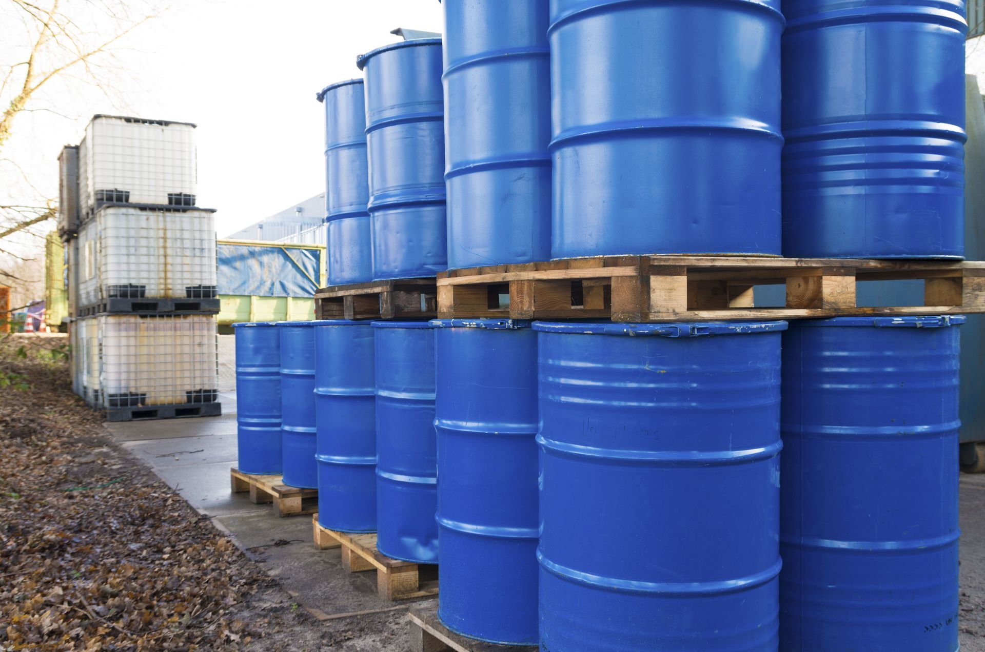 biodiesel