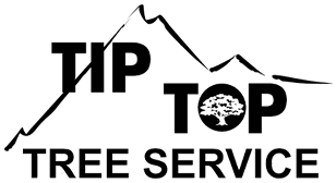 Tip Top Tree Service - Logo