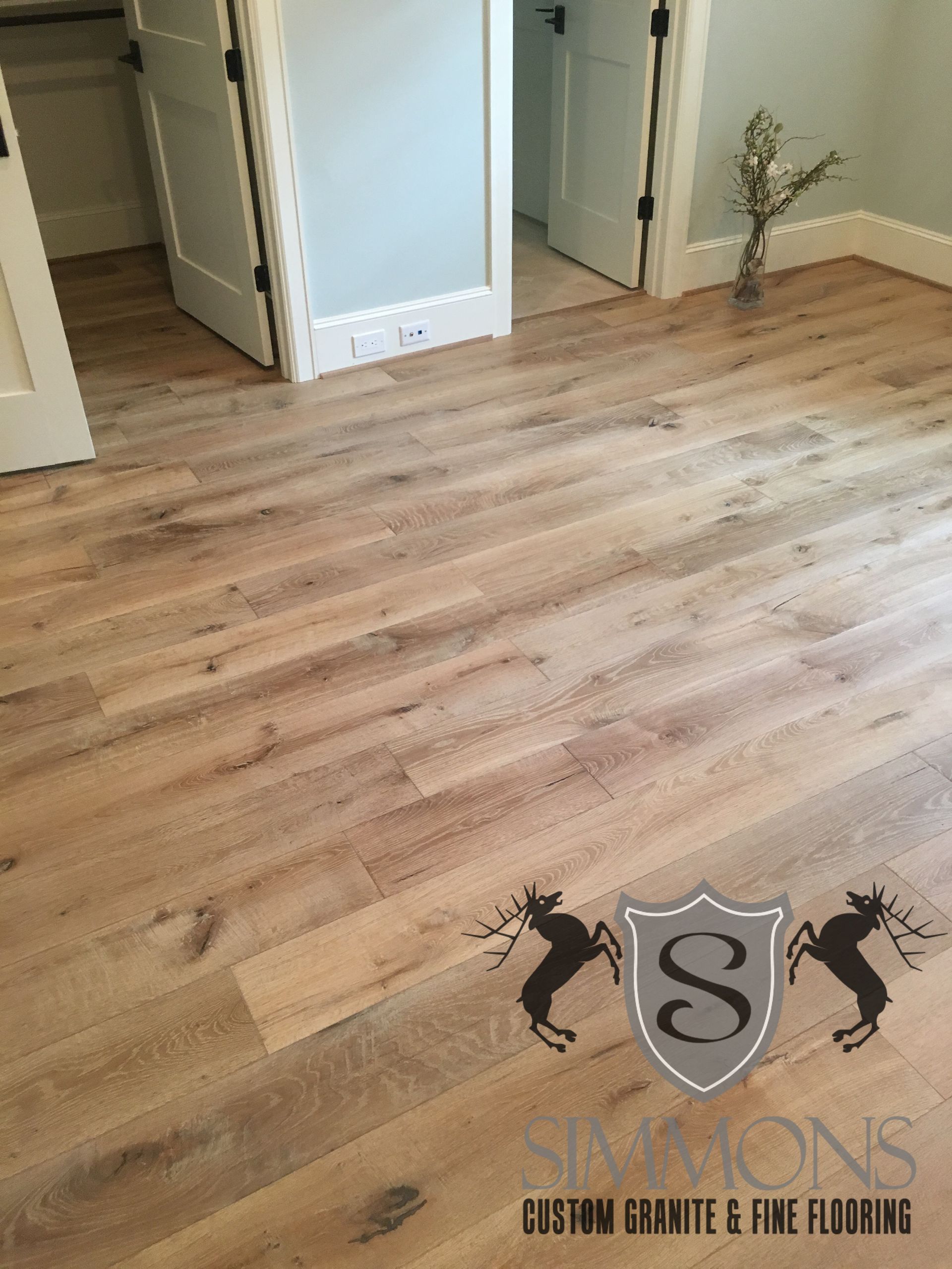 Empty room with light wood flooring, white walls, and a small plant by the door.