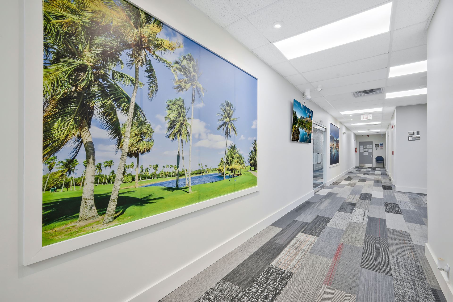 Hallway with large palm tree photo, patterned carpet, white walls, and bright overhead lights.