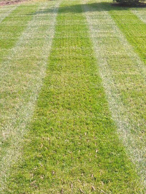 Commercial aeration service