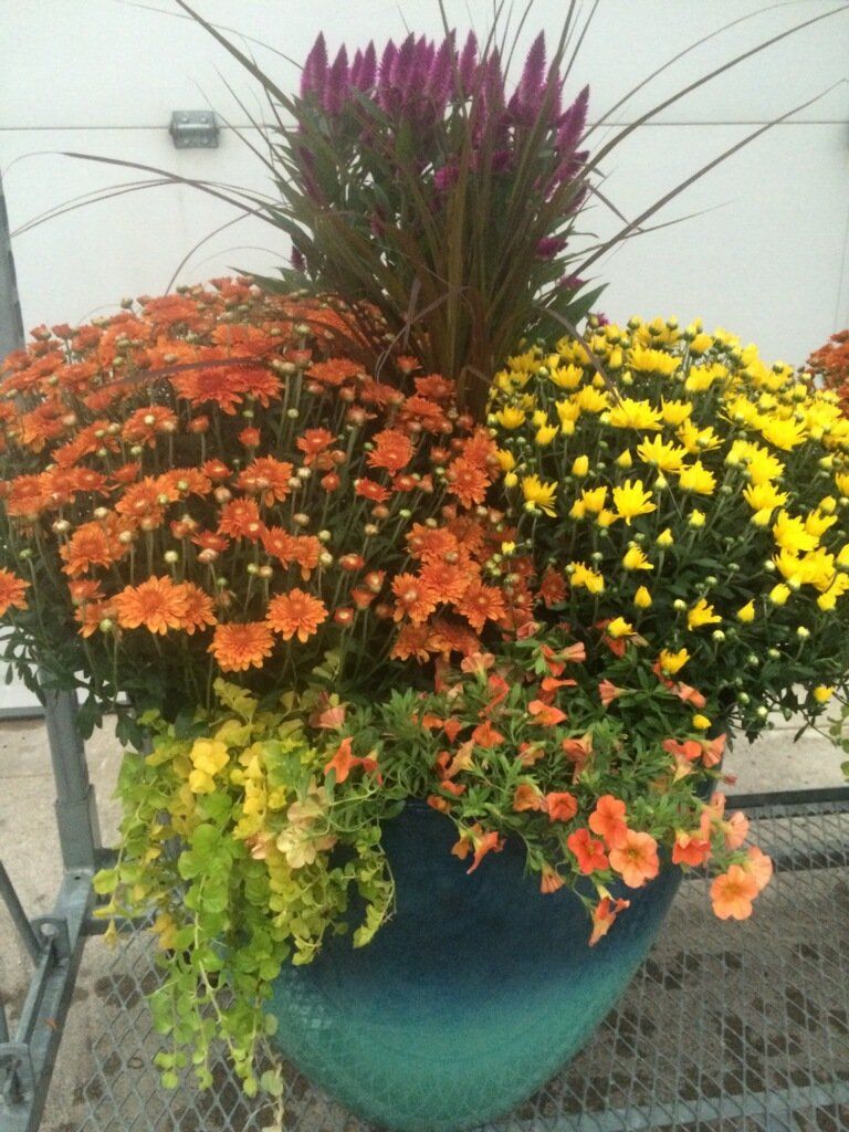 Floral arrangement service