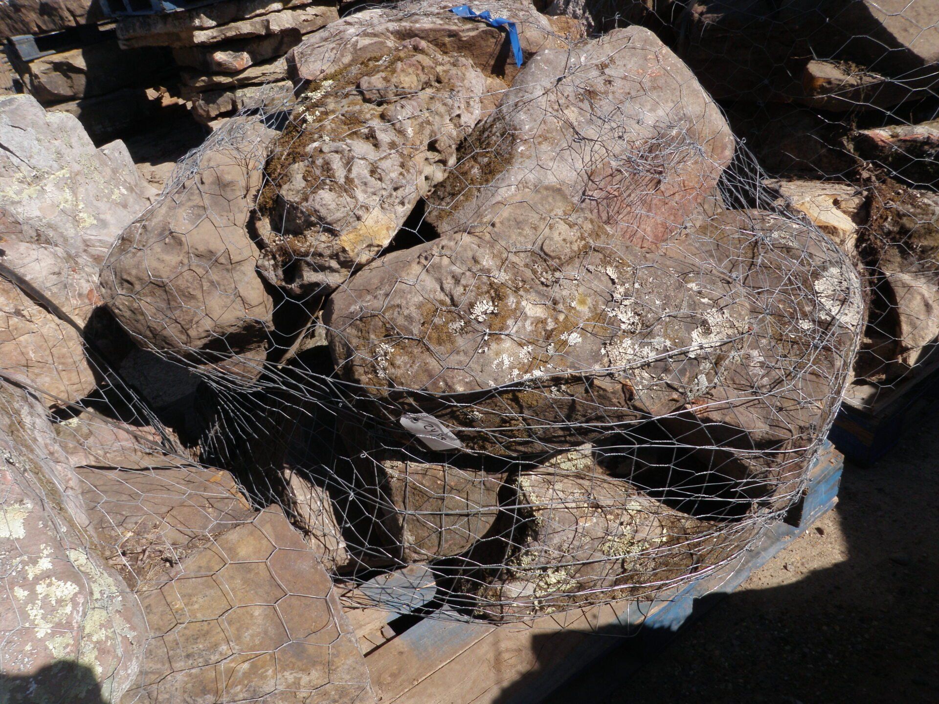 Two man size Arkansas Boulders