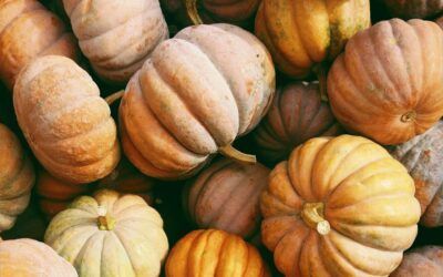 Orange and pale green pumpkins piled together in a close-up view