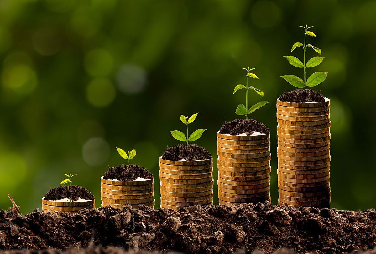 Five stacks of coins growing taller with green seedlings on top, symbolizing growth and savings