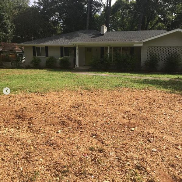 Tree stump removal services