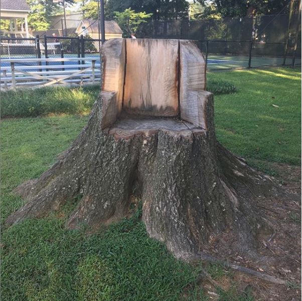 Tree stump removal services