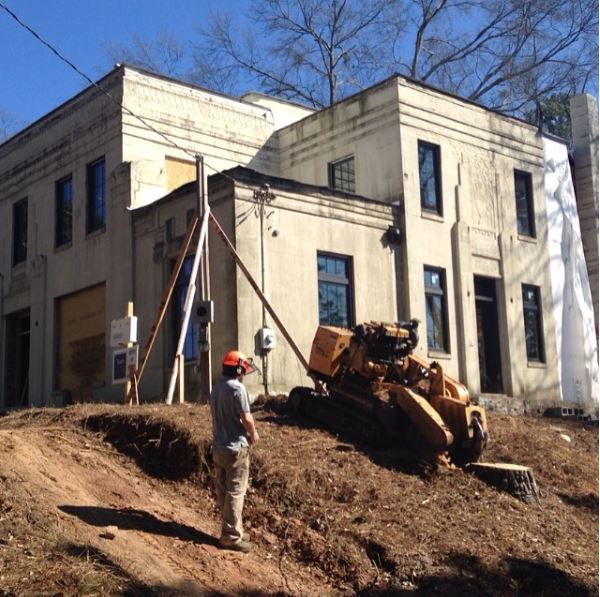 Tree stump removal services